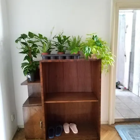 Monica's House