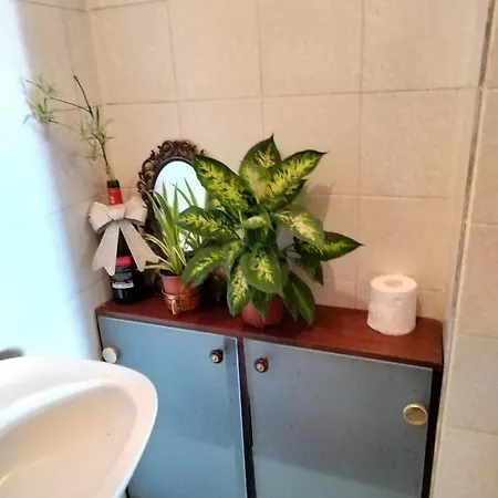 Monica's House Βελιγράδι